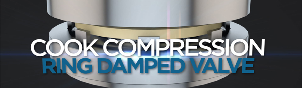 Ring Damped Valve video still
